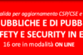 MANIFESTAZIONI PUBBLICHE E DI PUBBLICO SPETTACOLO  MISURE DI SAFETY E SECURITY IN EPOCA COVID